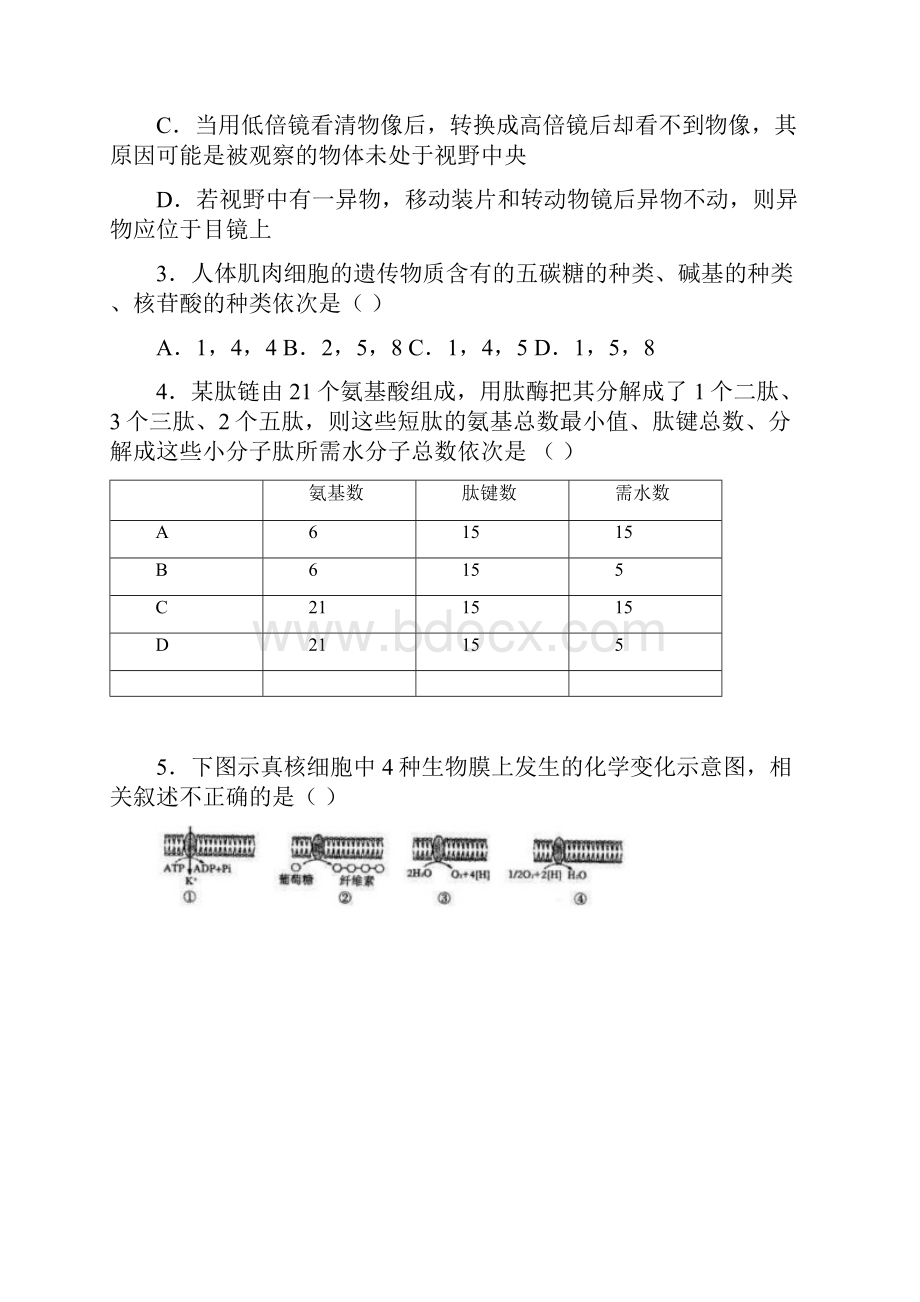 河北省唐山一中高二生物上学期期中试题.docx_第2页