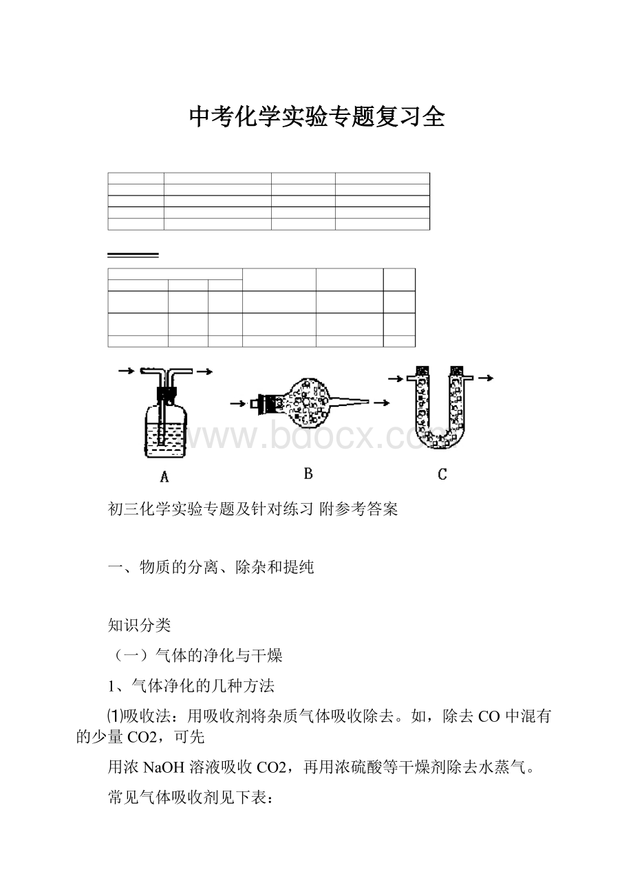 中考化学实验专题复习全.docx