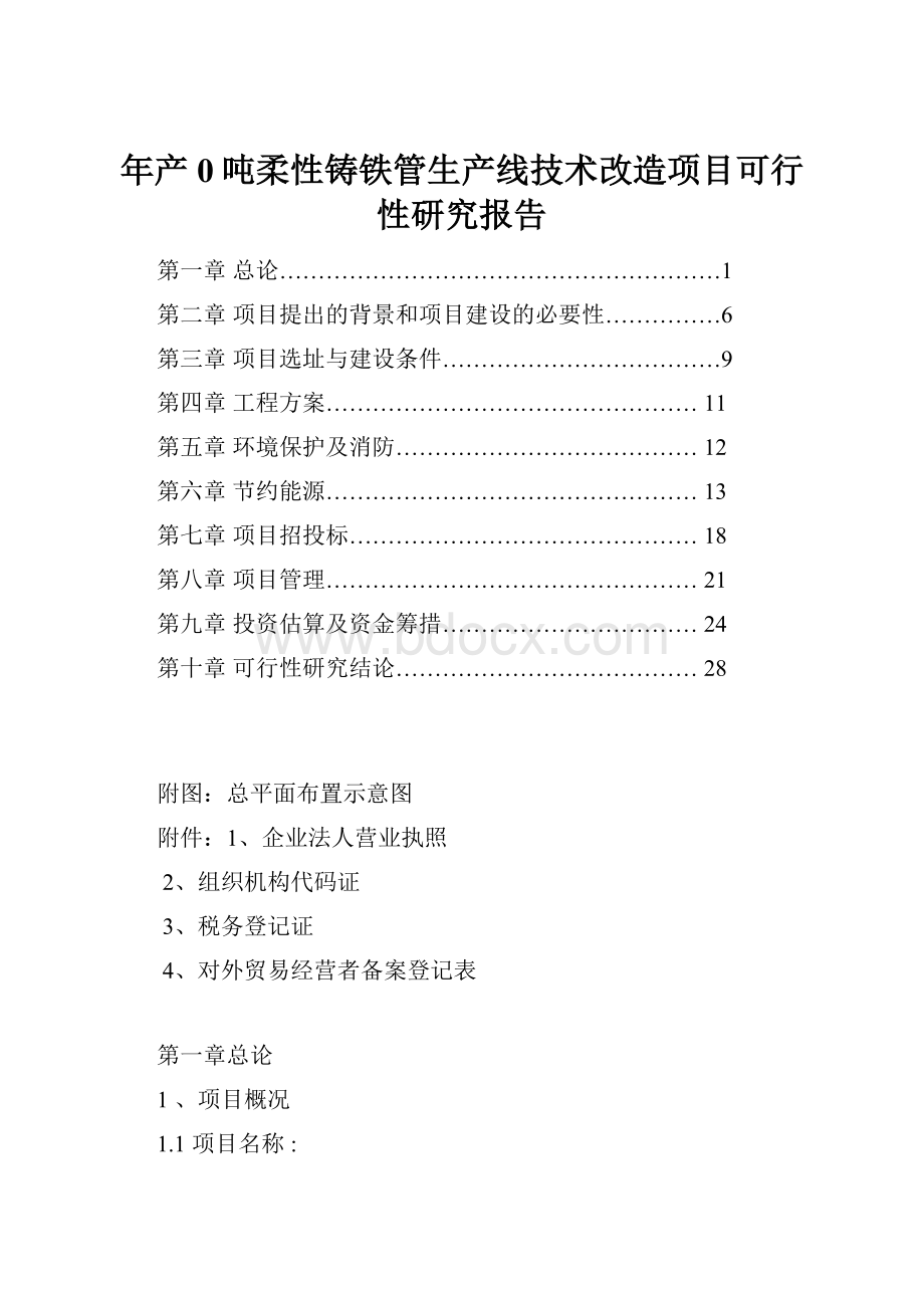 年产0吨柔性铸铁管生产线技术改造项目可行性研究报告.docx