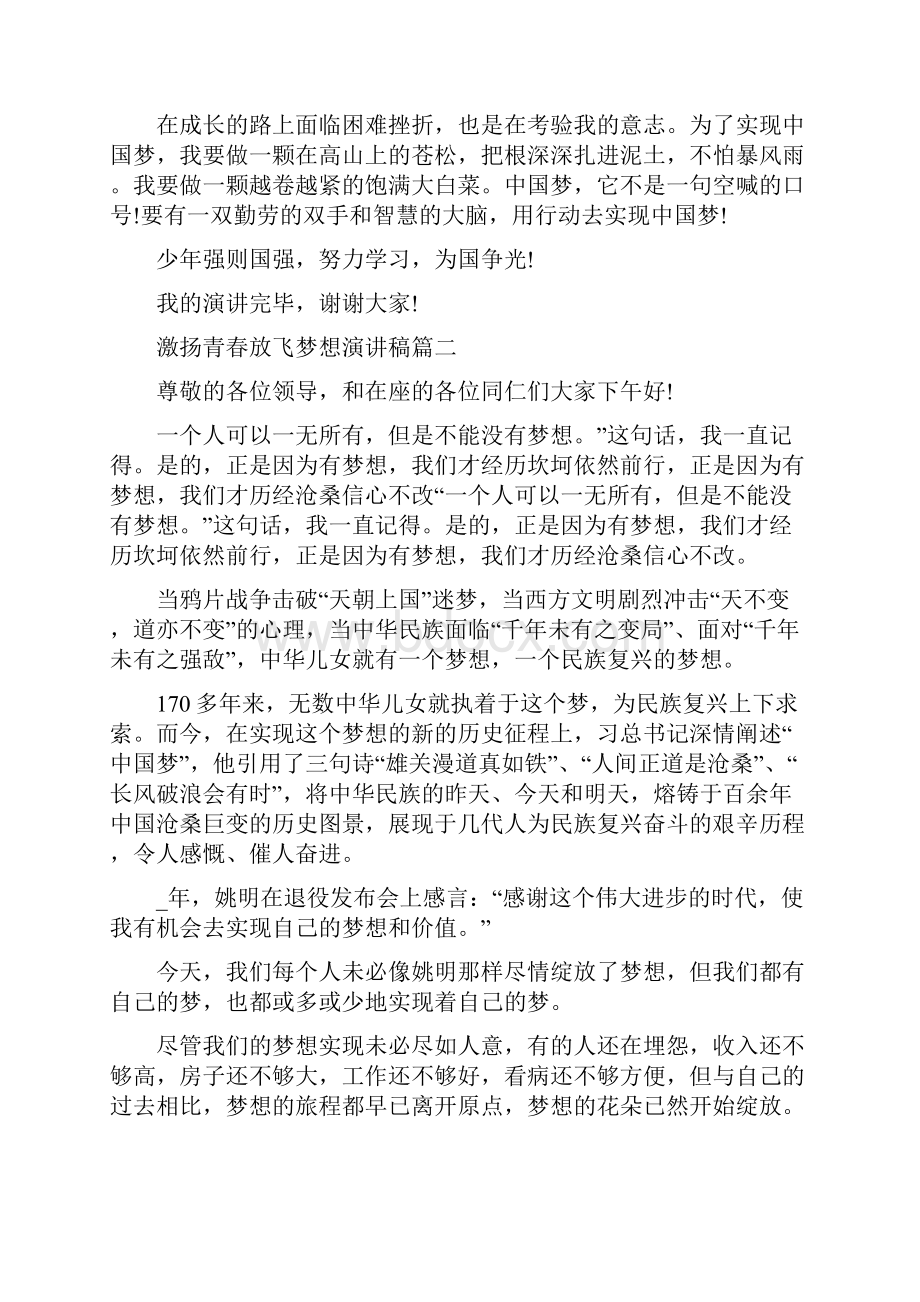 激扬青春放飞梦想演讲稿范文600字.docx_第2页