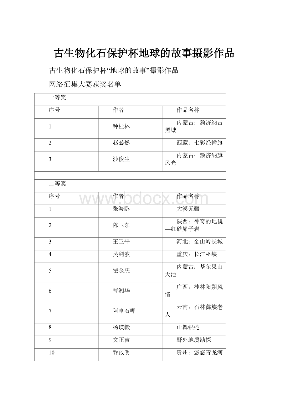 古生物化石保护杯地球的故事摄影作品.docx