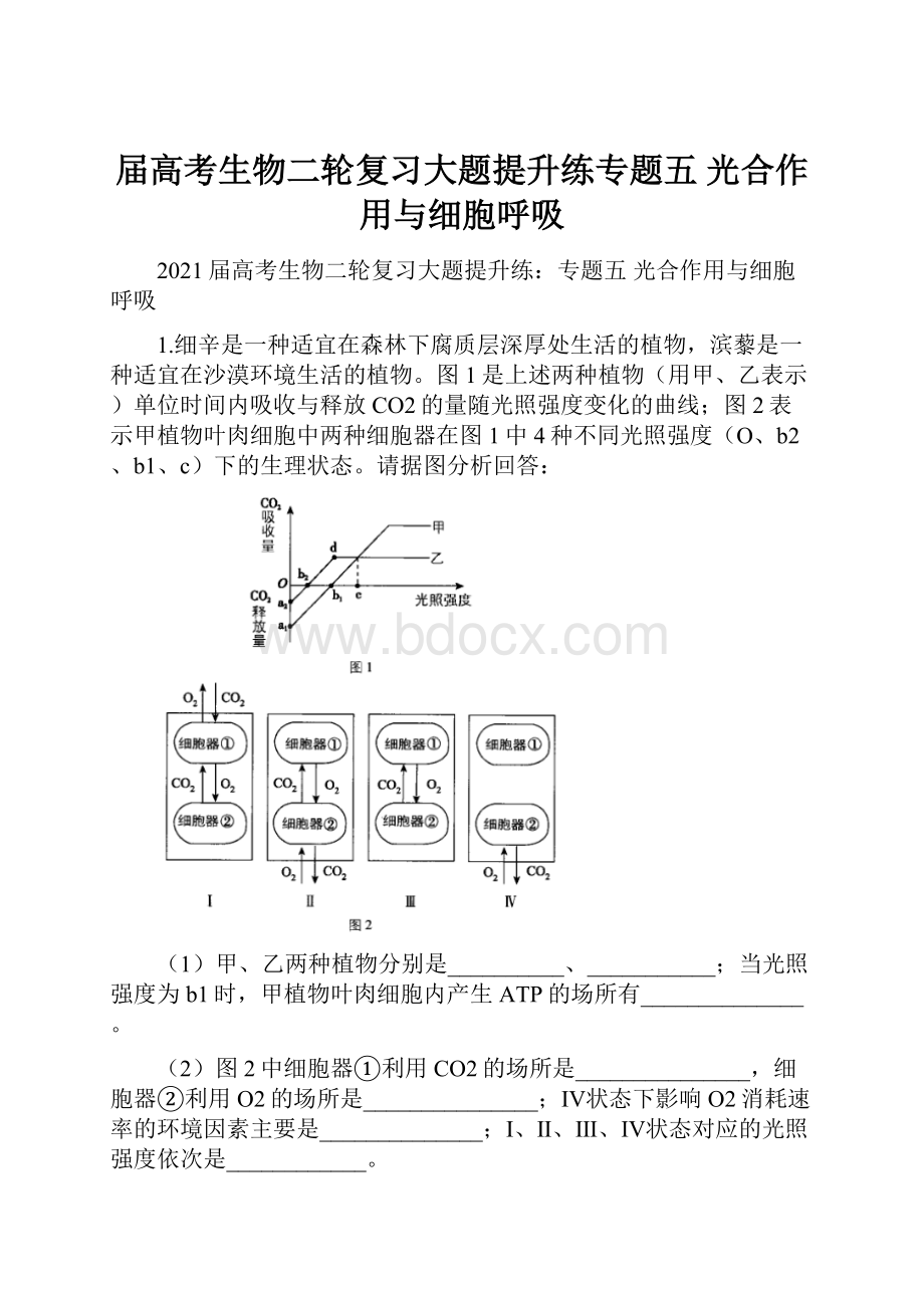 届高考生物二轮复习大题提升练专题五 光合作用与细胞呼吸.docx