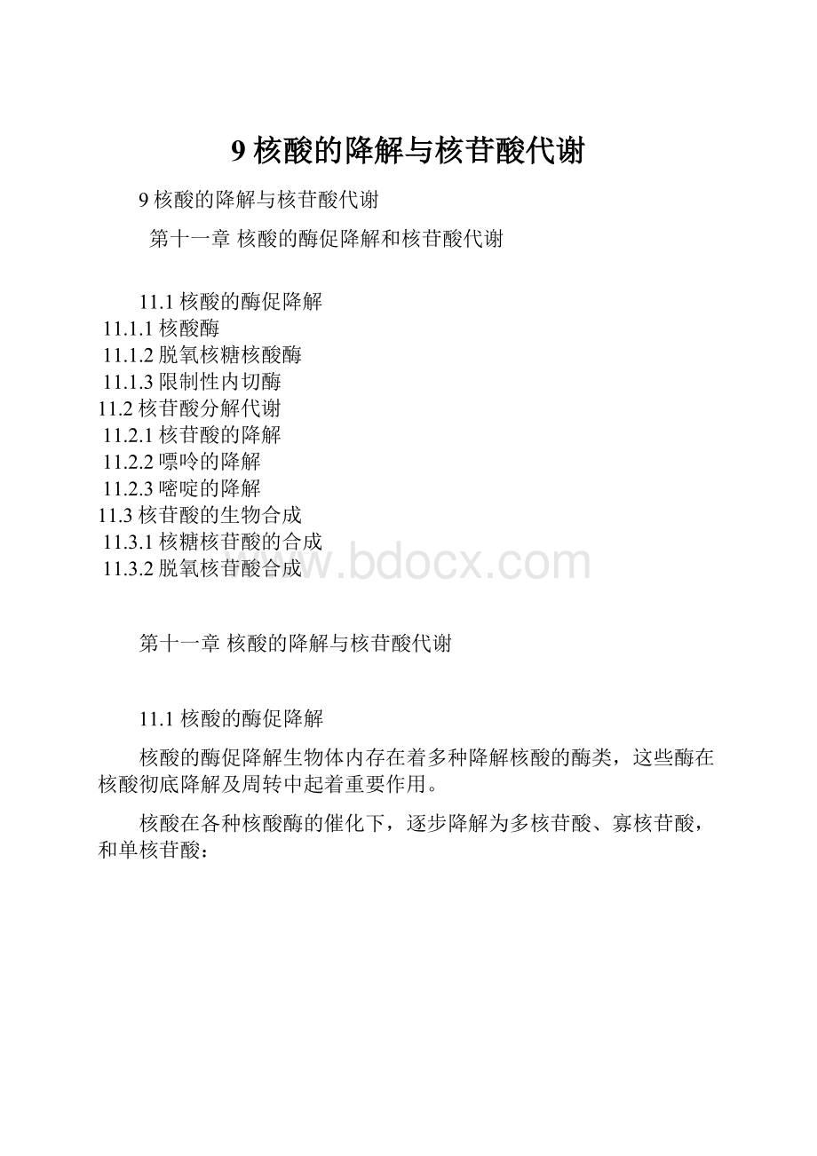 9核酸的降解与核苷酸代谢.docx