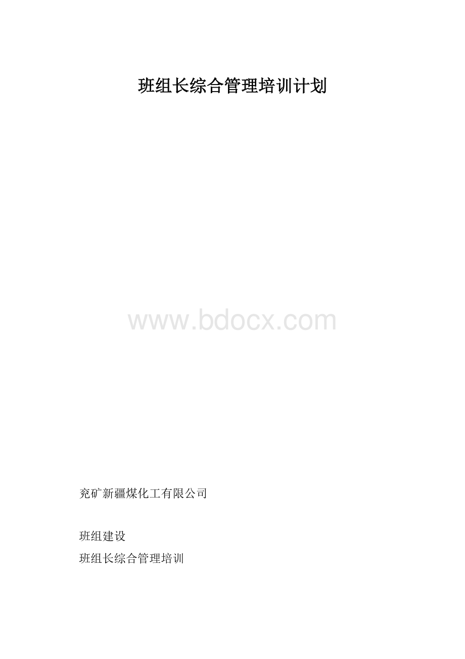 班组长综合管理培训计划.docx