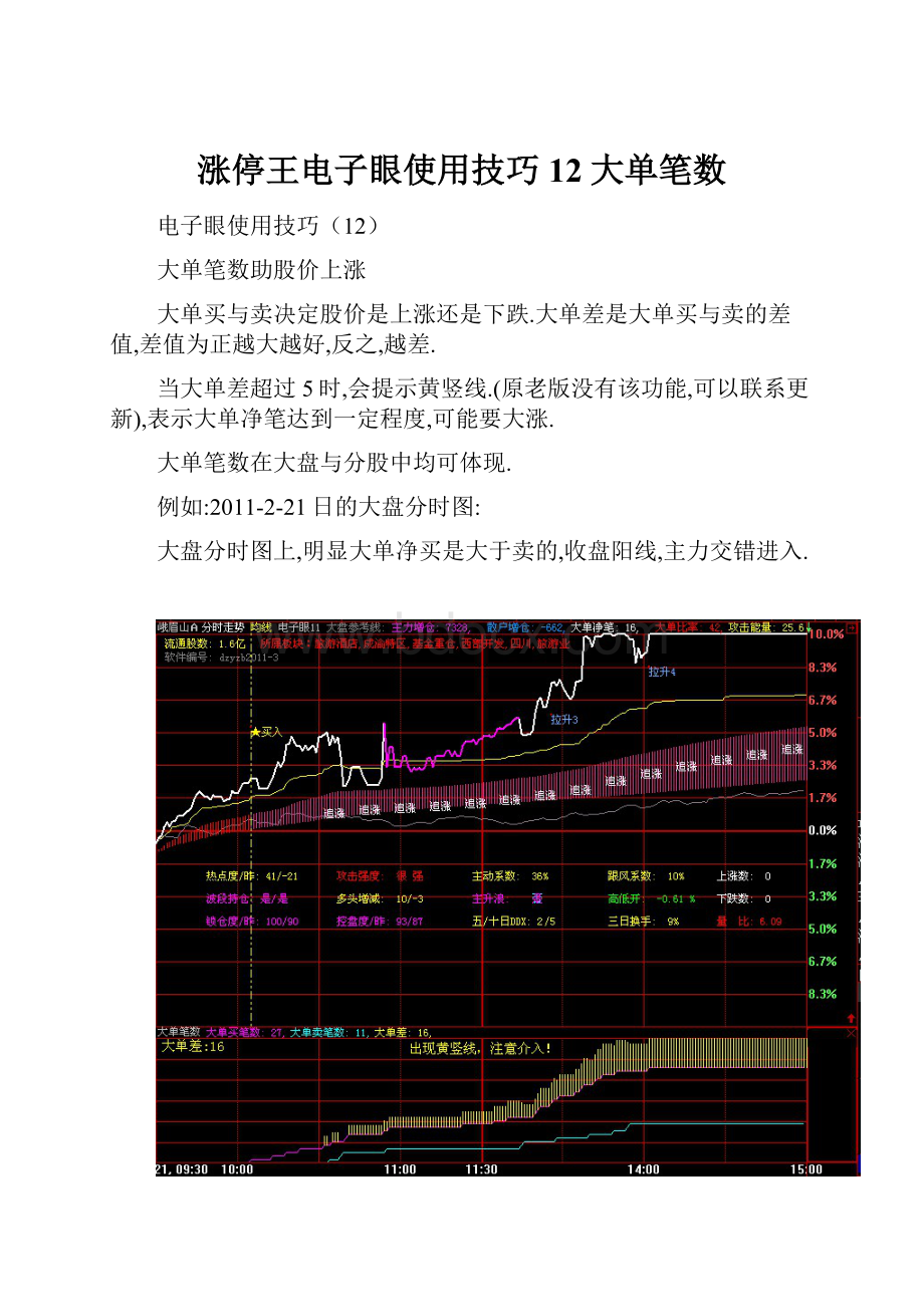 涨停王电子眼使用技巧12大单笔数.docx