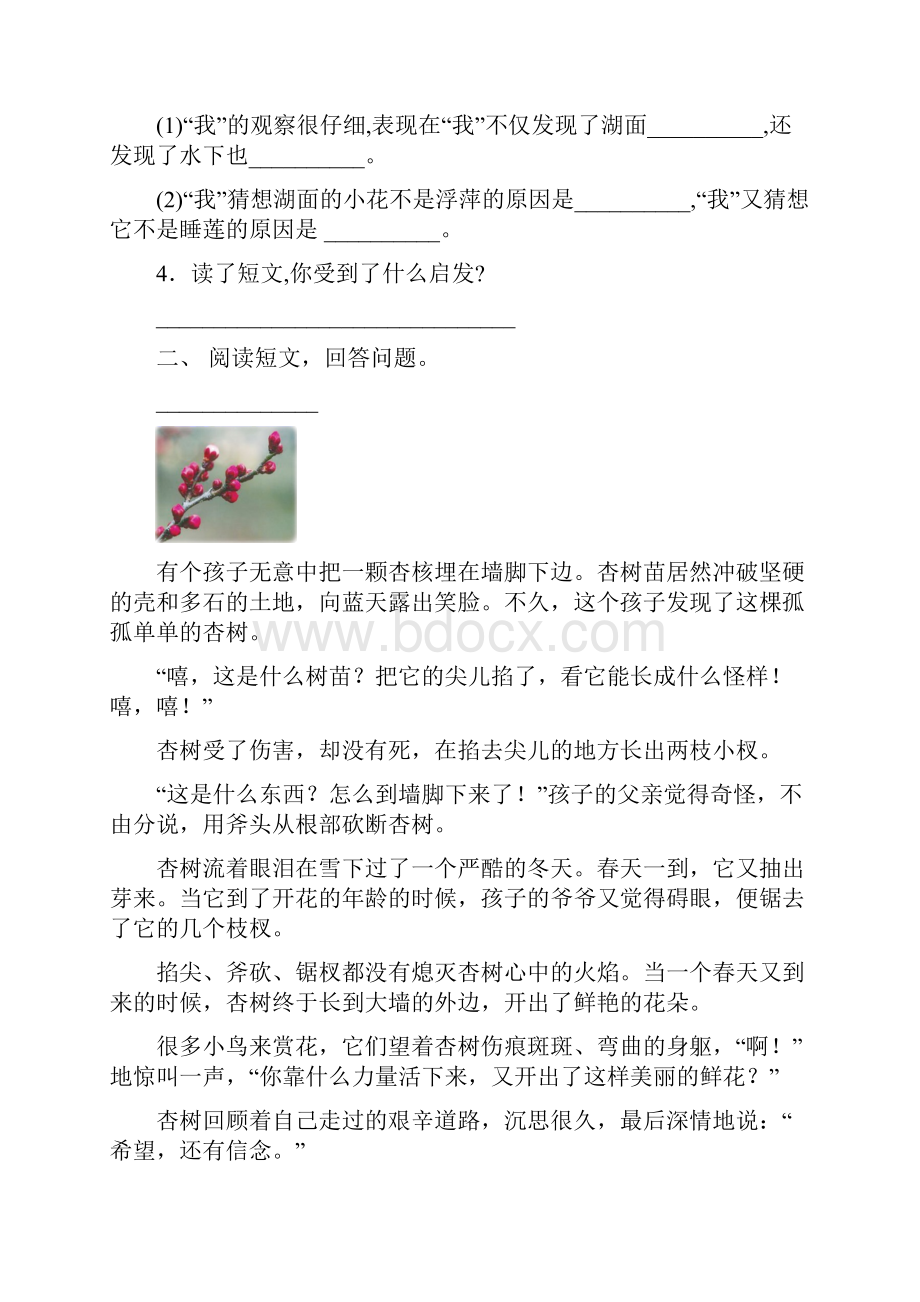 冀教版三年级上册语文短文阅读练习精选15篇.docx_第2页