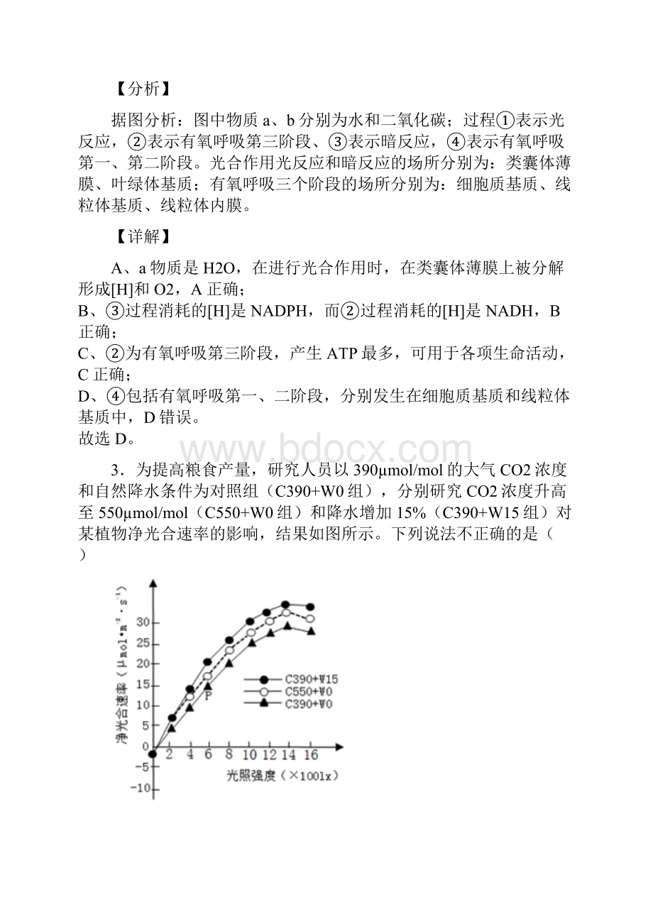 专题07细胞呼吸和光合作用的综合高考生物一轮复习专题验收解析版.docx_第3页