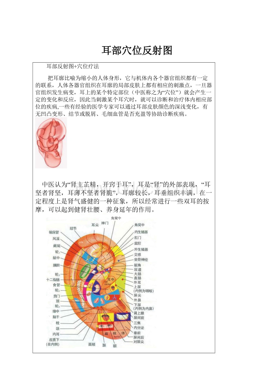 耳部穴位反射图.docx