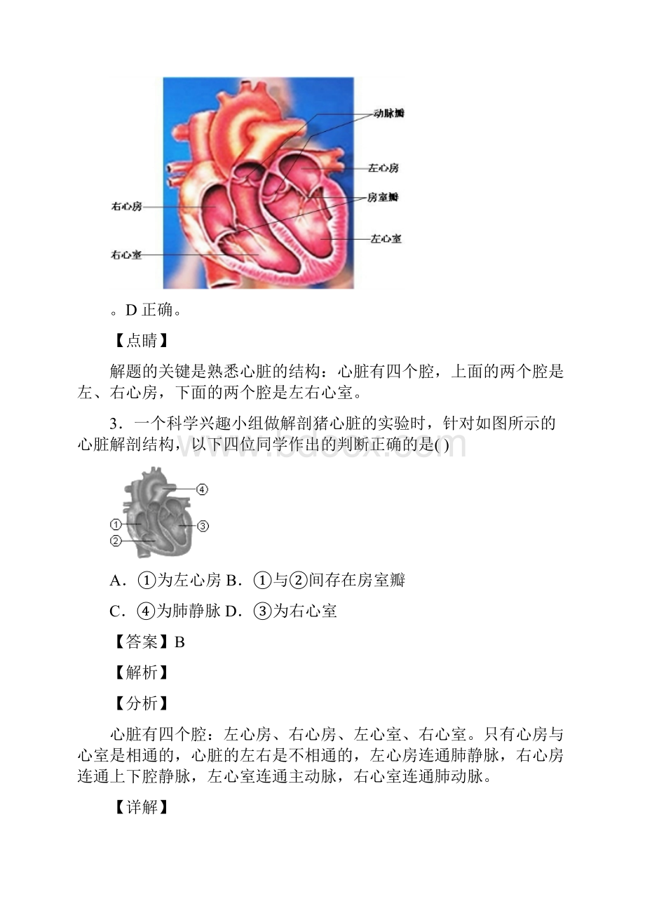 输送血液的泵心脏习题含答案.docx_第3页