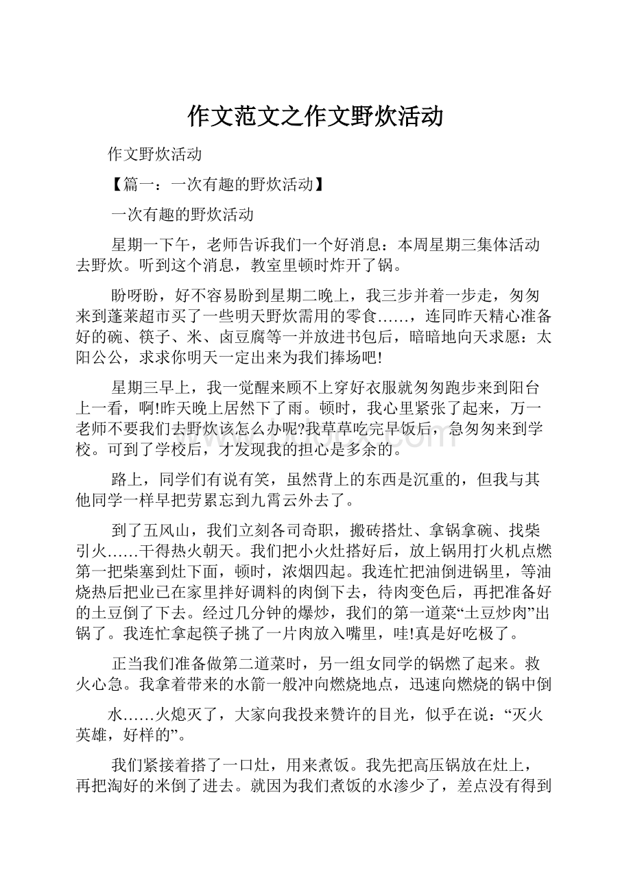 作文范文之作文野炊活动.docx_第1页