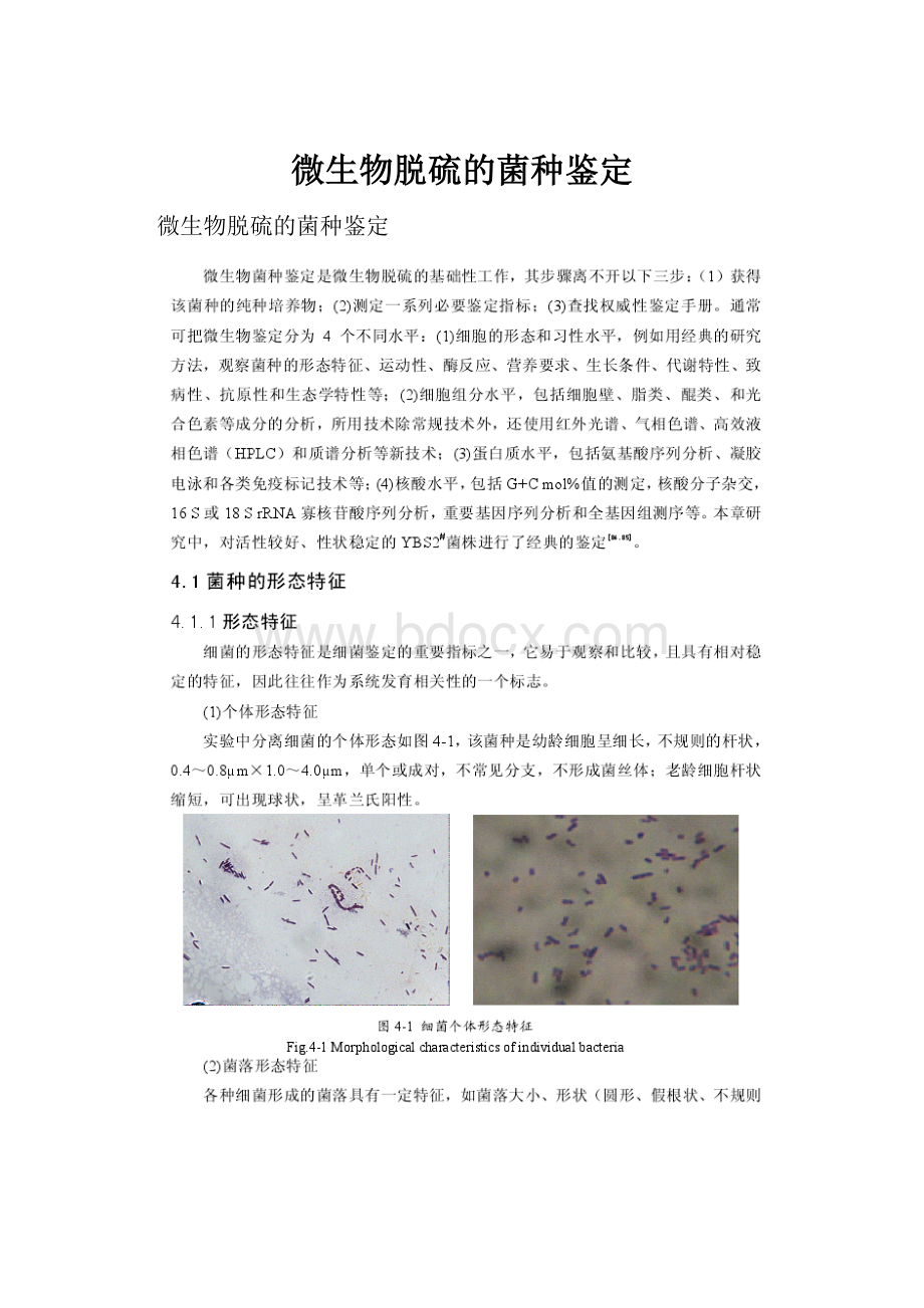 微生物脱硫的菌种鉴定.docx