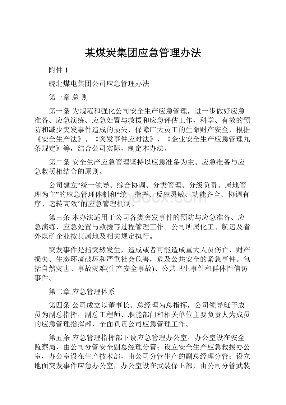 某煤炭集团应急管理办法.docx