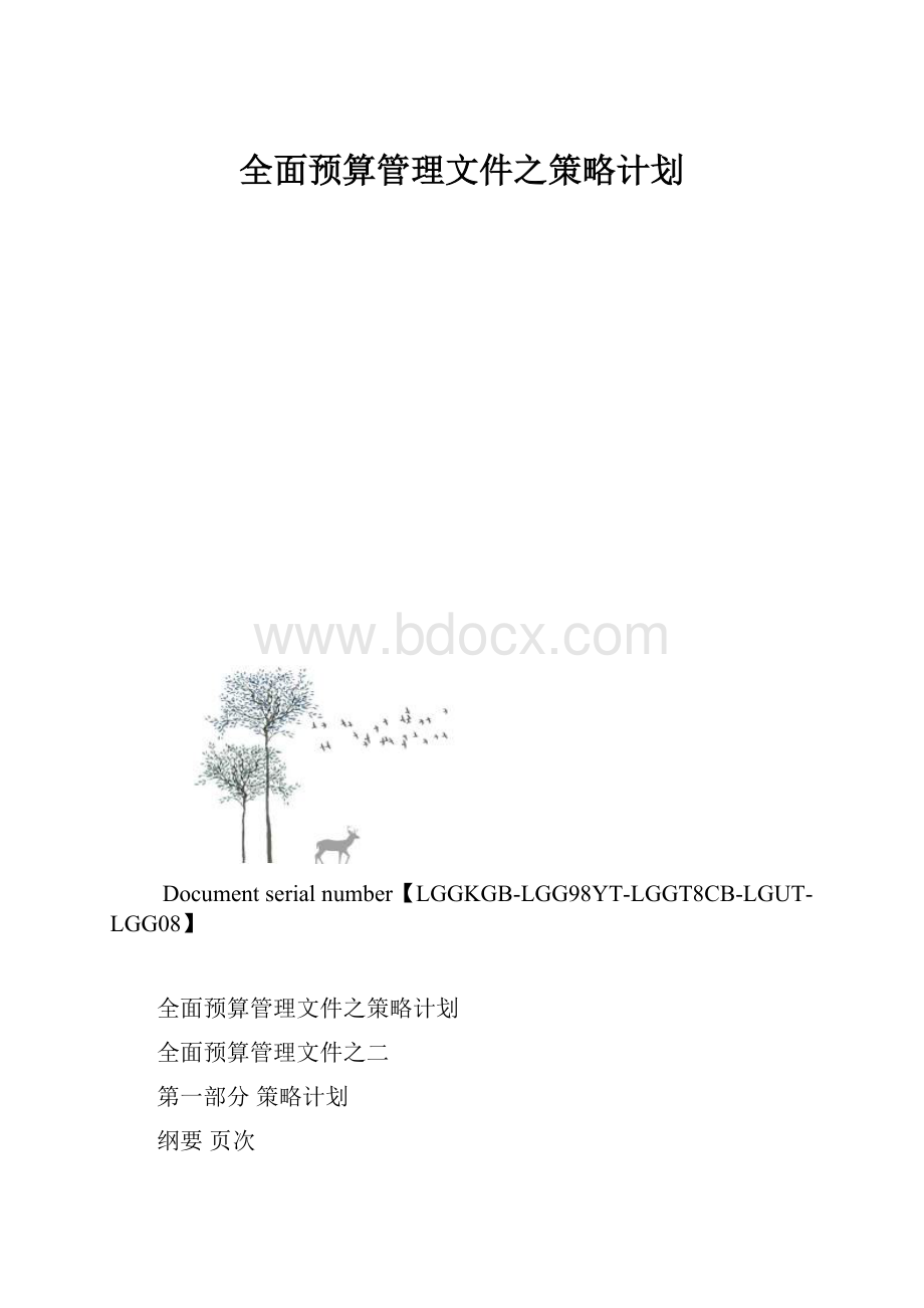 全面预算管理文件之策略计划.docx