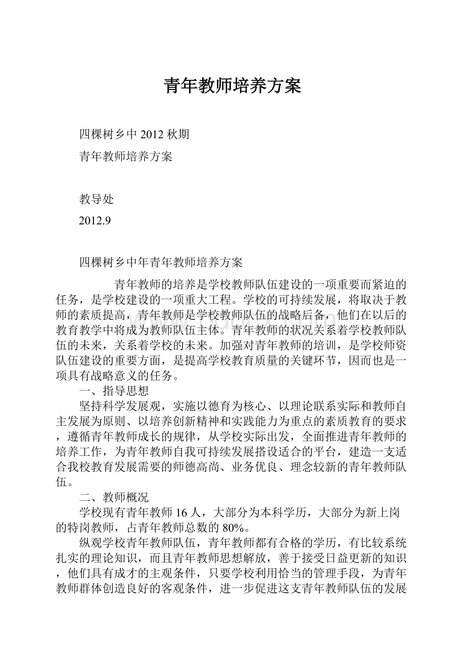 青年教师培养方案.docx