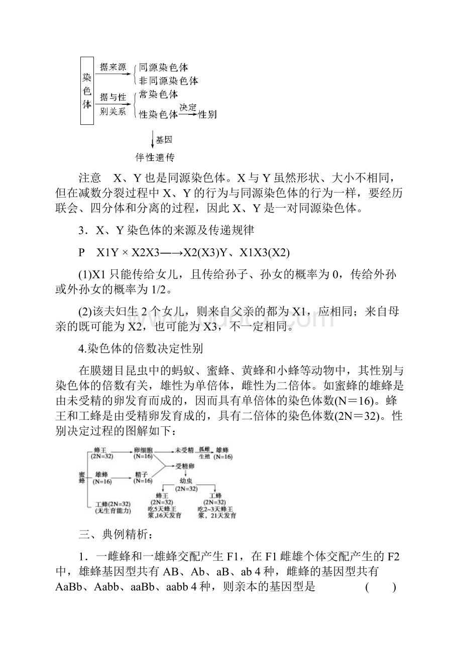 届高考生物考点精讲精析基因在染色体上和伴性遗传有解析.docx_第2页