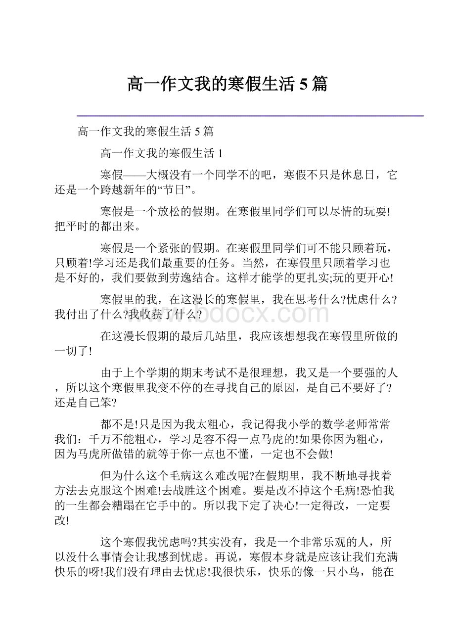 高一作文我的寒假生活5篇.docx