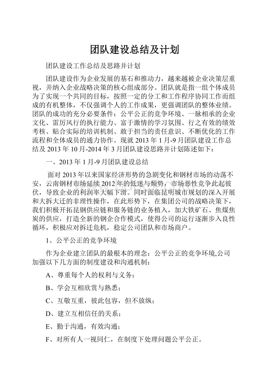 团队建设总结及计划.docx_第1页