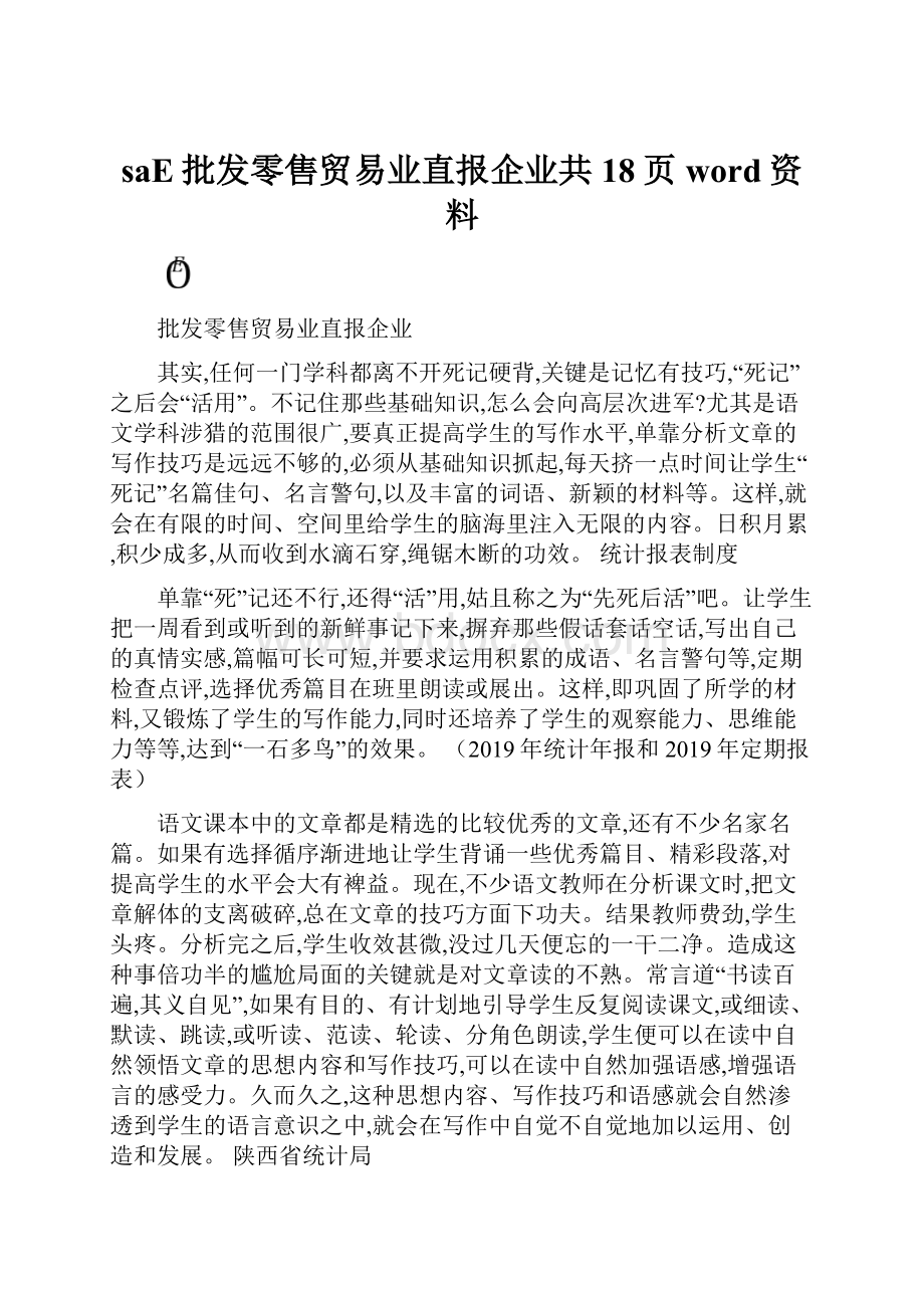 saE批发零售贸易业直报企业共18页word资料.docx