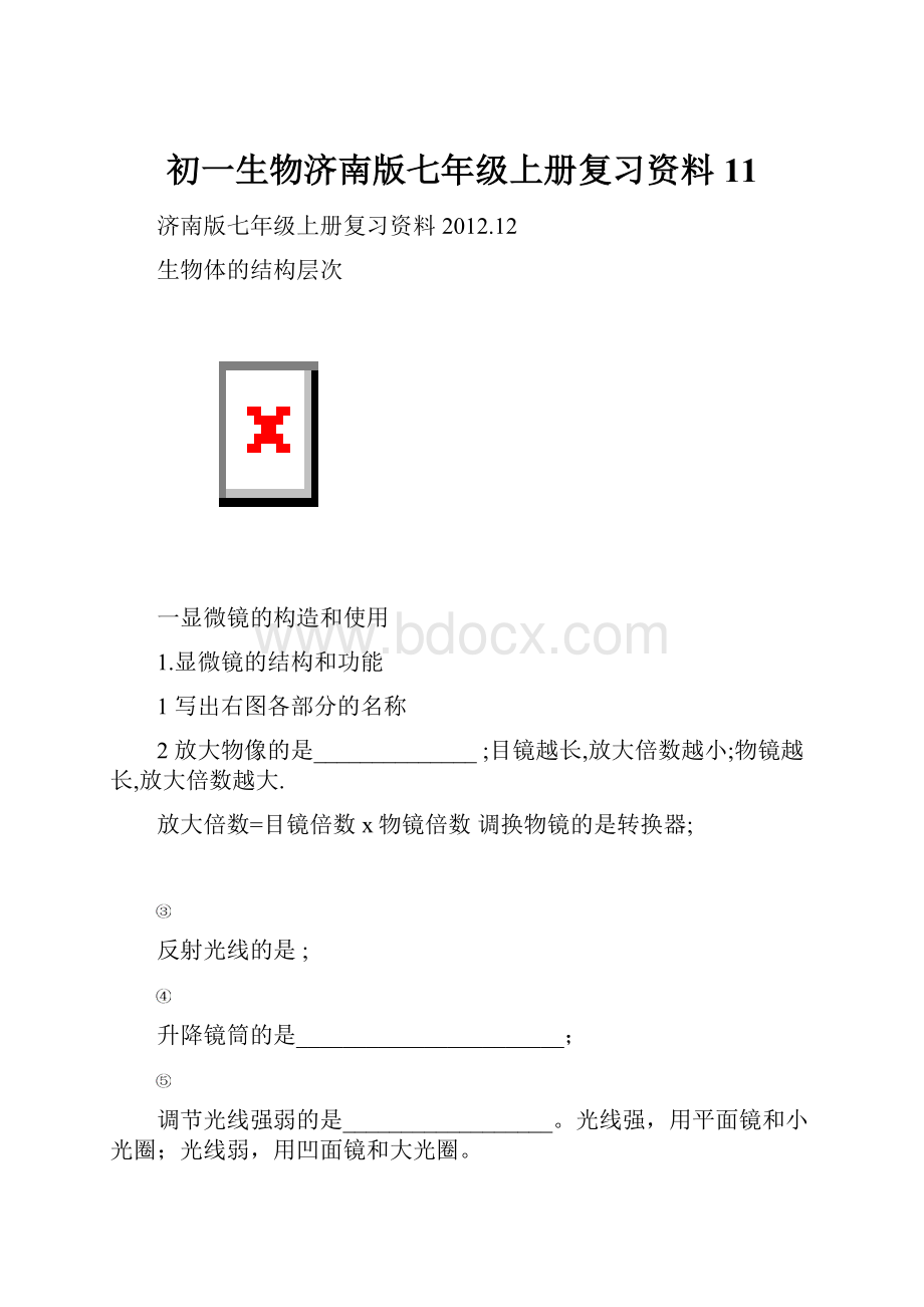 初一生物济南版七年级上册复习资料11.docx