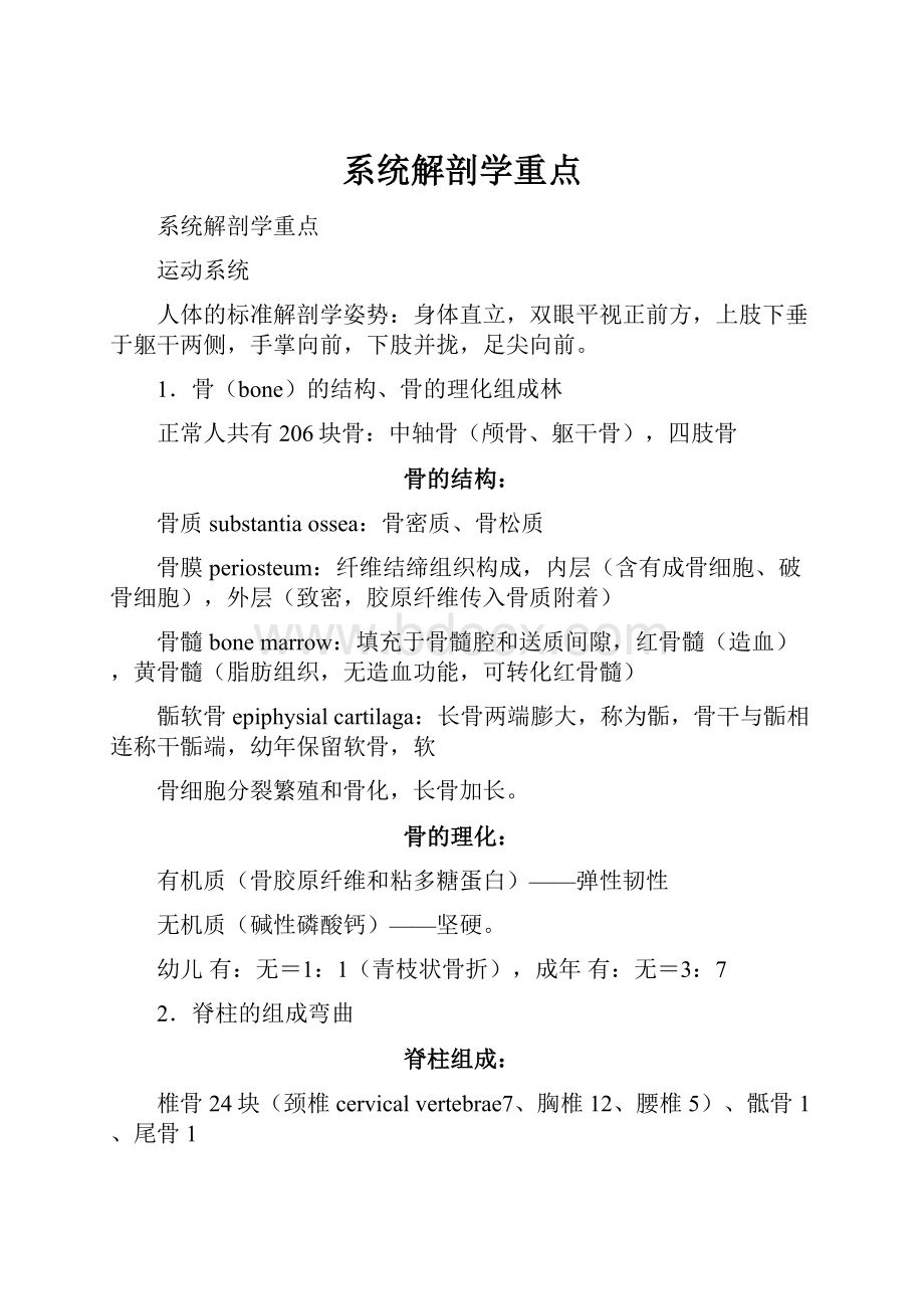 系统解剖学重点.docx