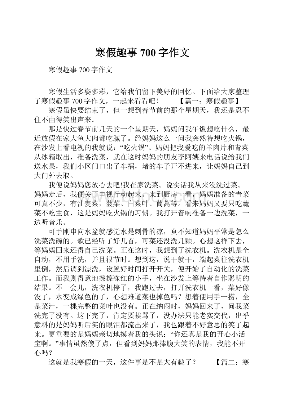 寒假趣事700字作文.docx