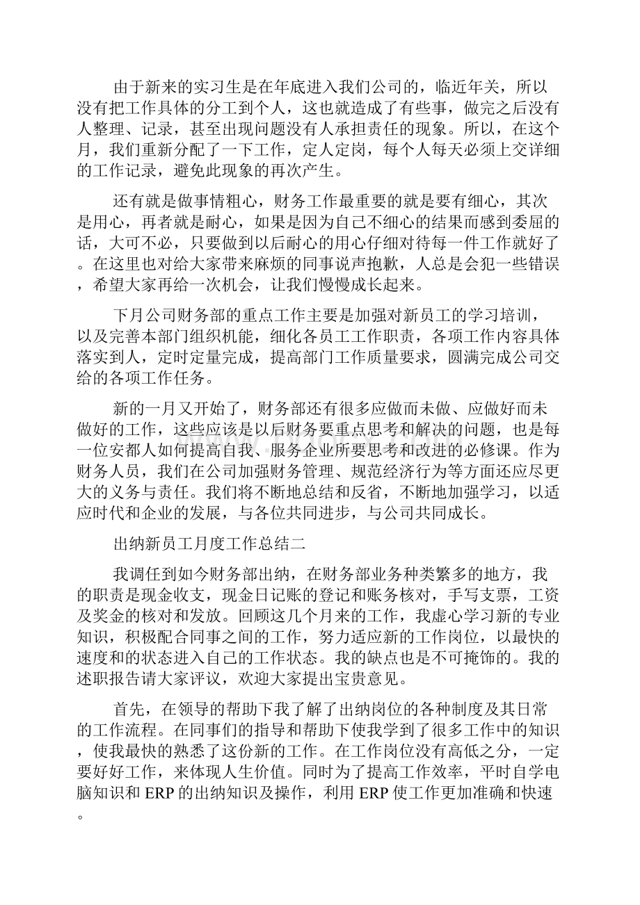 出纳新员工月度工作总结范文.docx_第2页