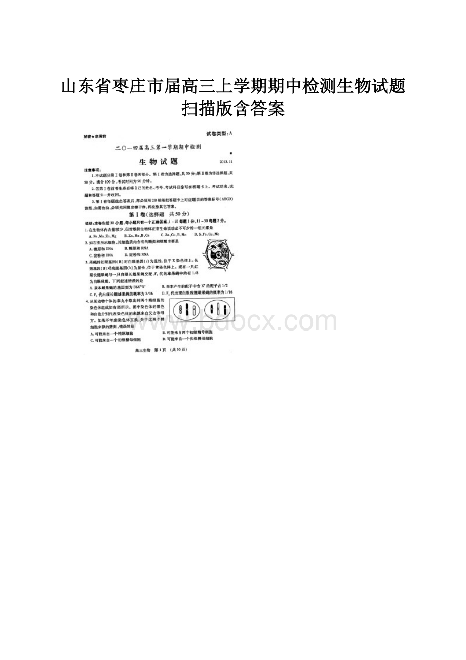 山东省枣庄市届高三上学期期中检测生物试题 扫描版含答案.docx