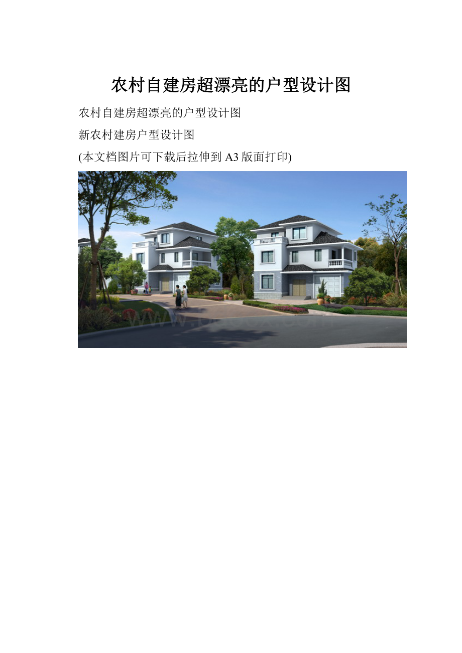 农村自建房超漂亮的户型设计图.docx