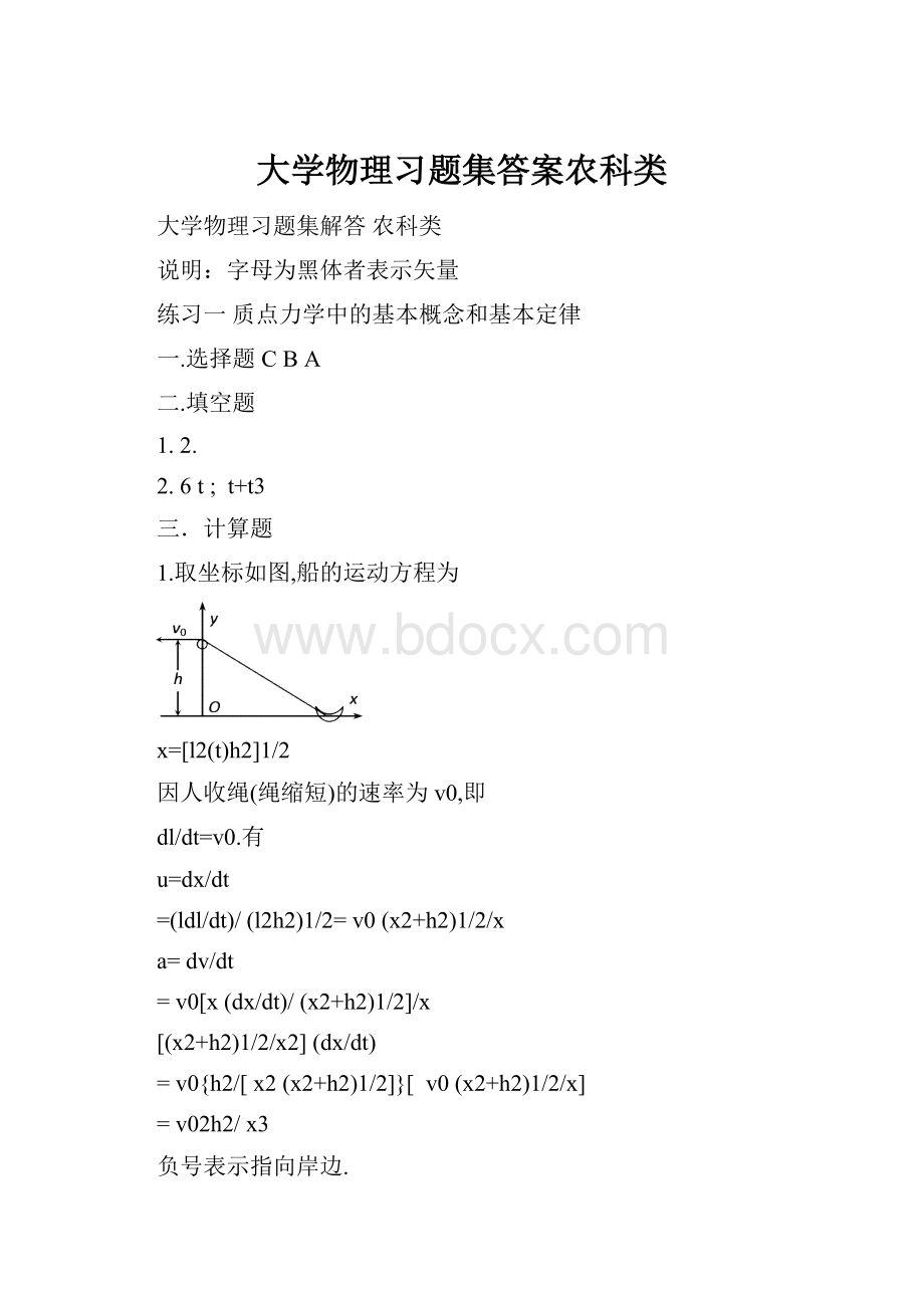 大学物理习题集答案农科类.docx