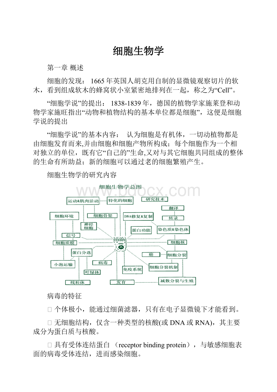 细胞生物学.docx