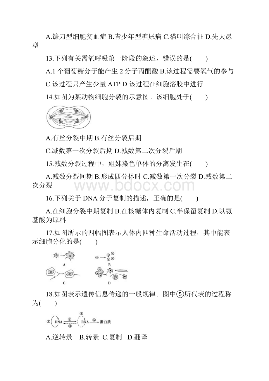 浙科版浙江专用生物一轮选考仿真模拟提升卷.docx_第3页