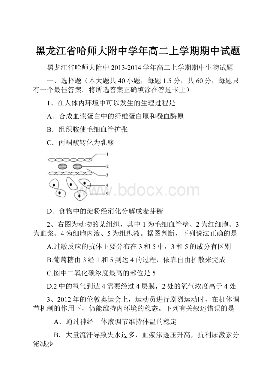 黑龙江省哈师大附中学年高二上学期期中试题.docx