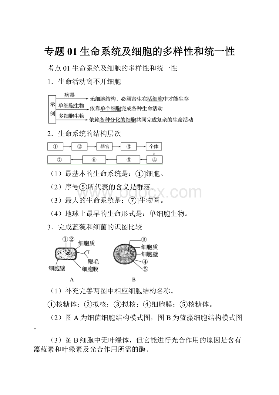 专题01生命系统及细胞的多样性和统一性.docx_第1页