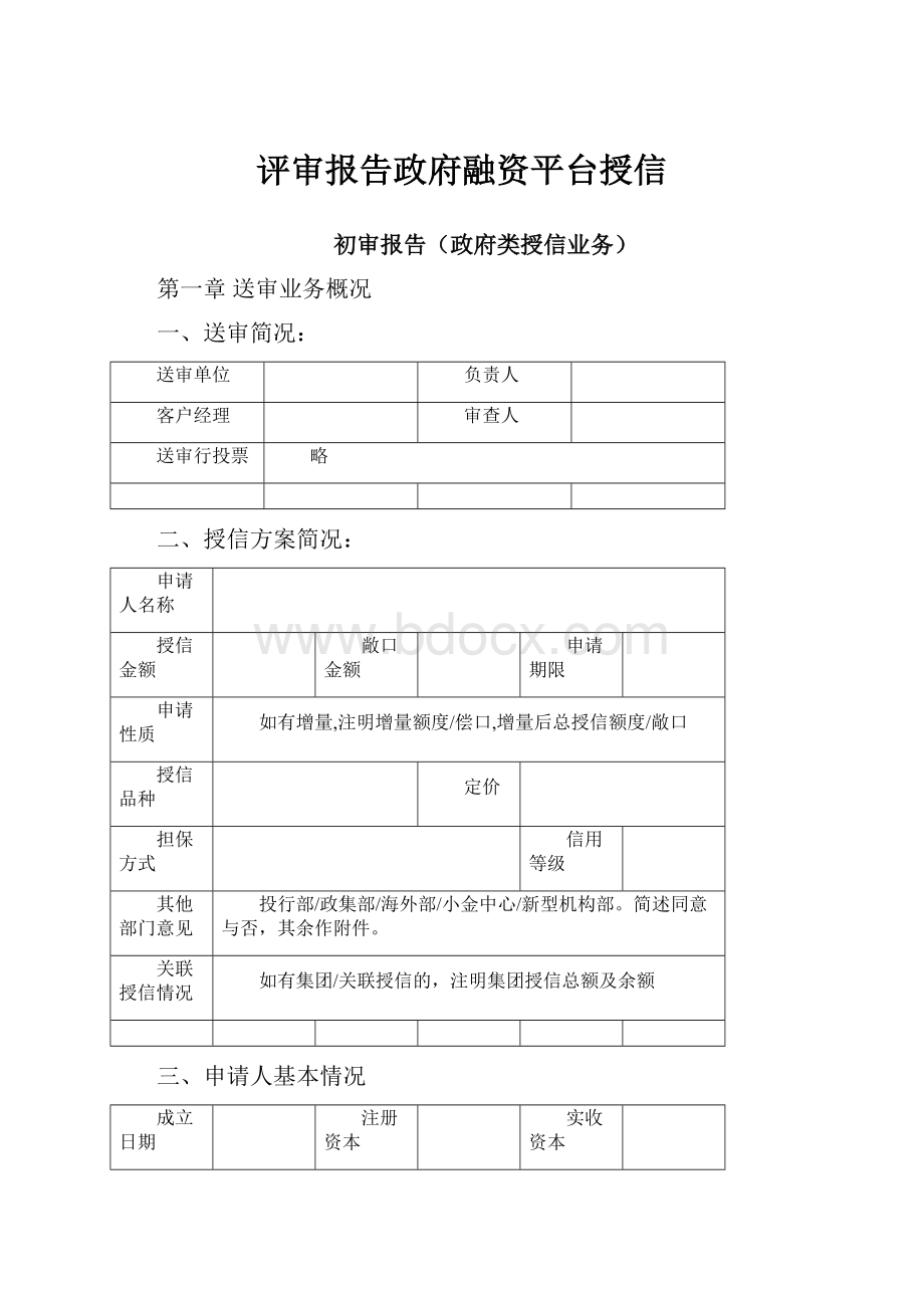 评审报告政府融资平台授信.docx