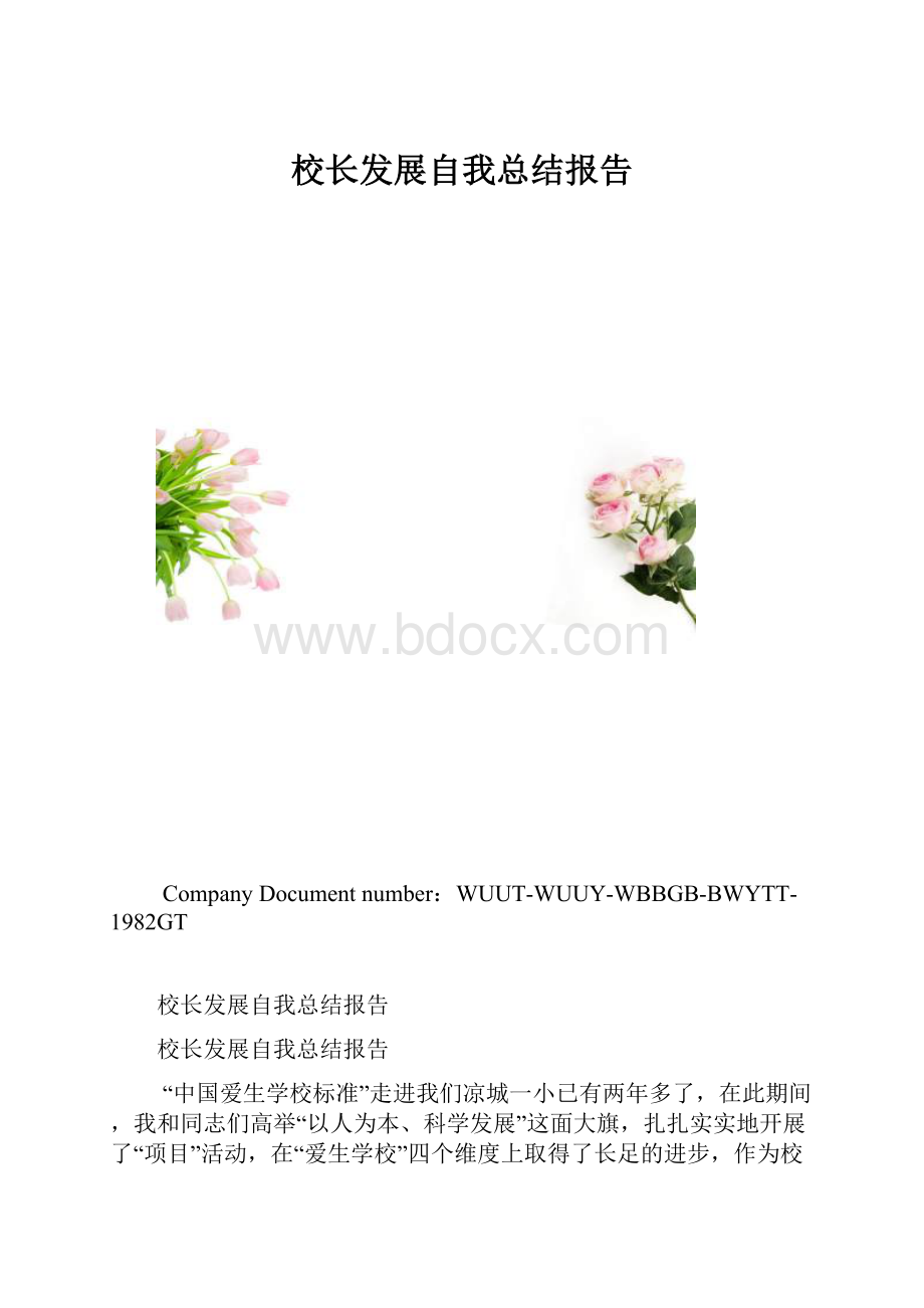 校长发展自我总结报告.docx