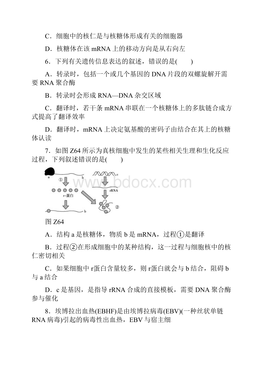 全国卷地区高考生物二轮复习 专题限时集训6 遗传的分子基础.docx_第3页