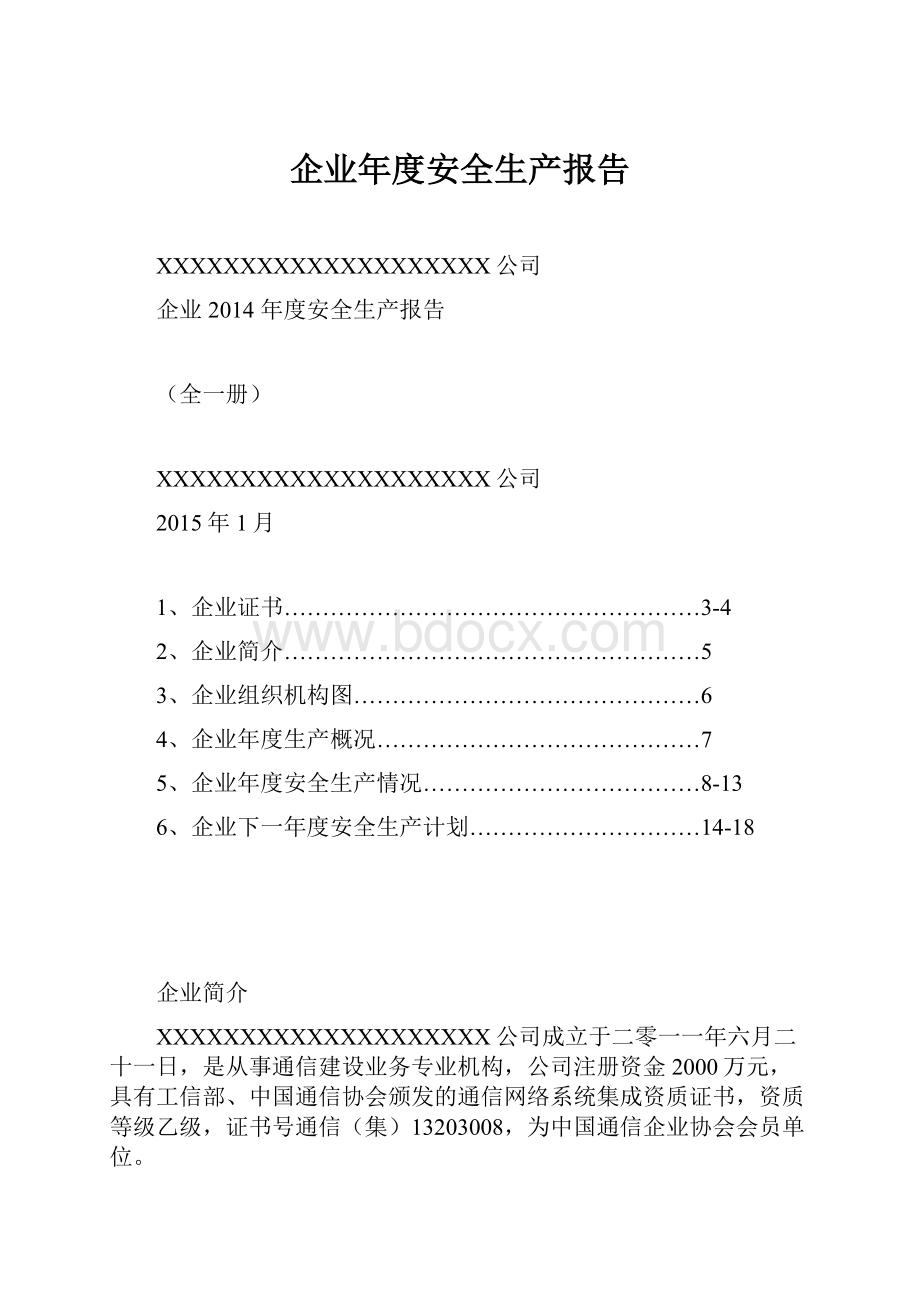 企业年度安全生产报告.docx_第1页