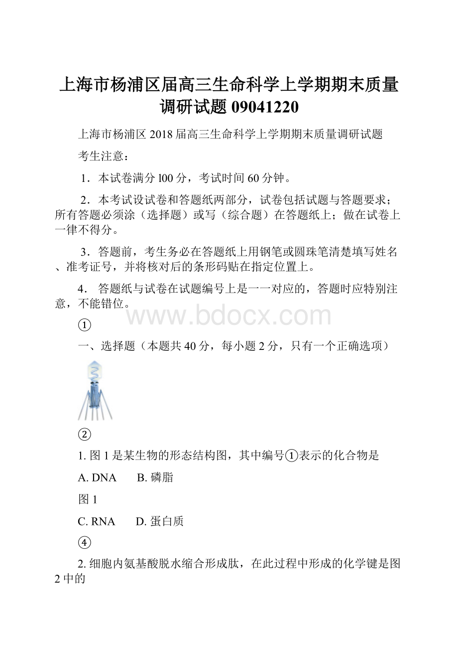 上海市杨浦区届高三生命科学上学期期末质量调研试题09041220.docx_第1页