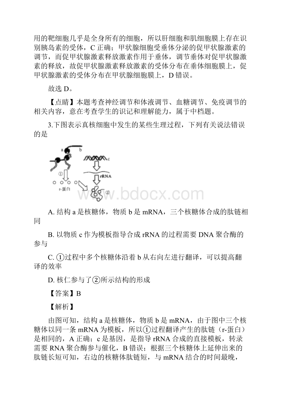 重庆市南开中学届高三下学期适应性考试理科综合生物试题含答案解析.docx_第3页