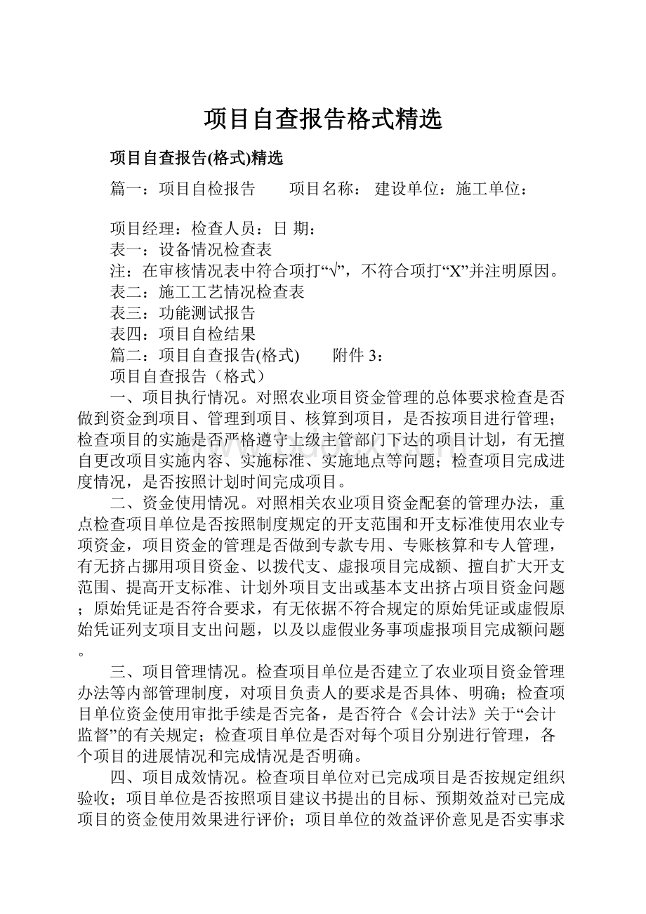 项目自查报告格式精选.docx