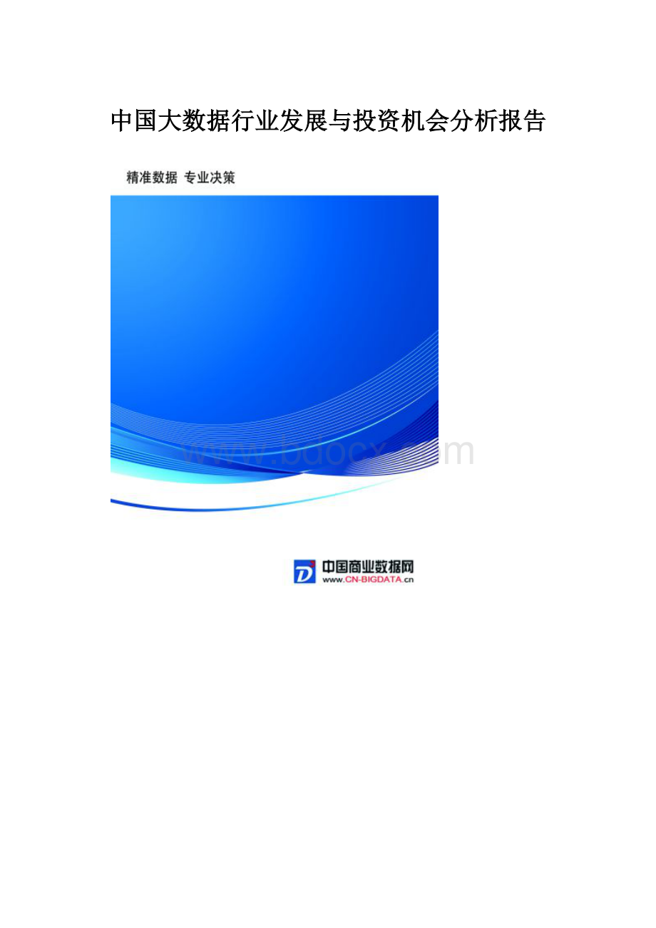 中国大数据行业发展与投资机会分析报告.docx_第1页