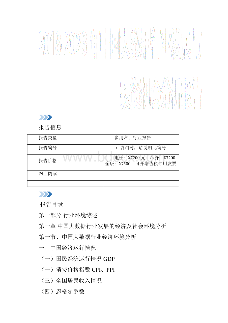 中国大数据行业发展与投资机会分析报告.docx_第2页