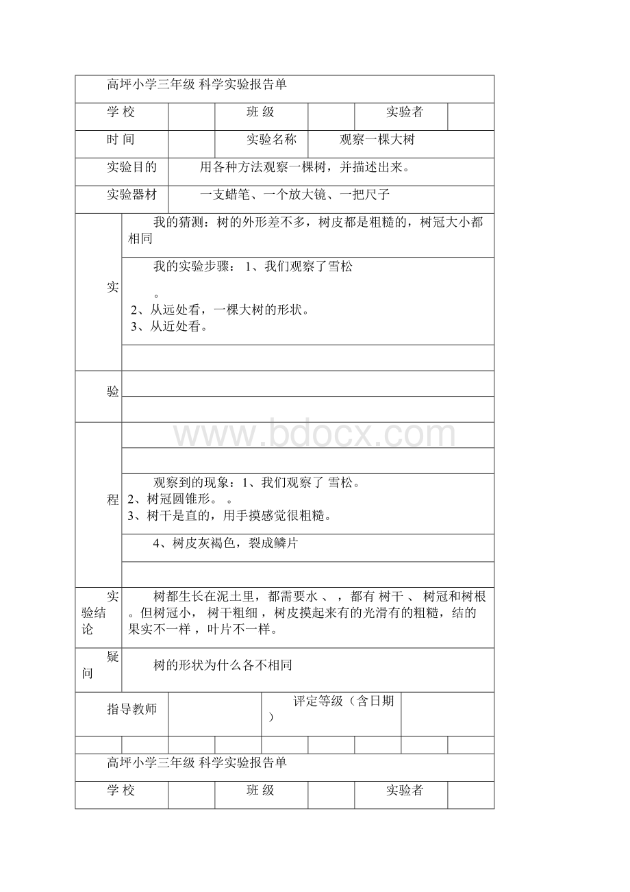 教科版三年级上册科学实验报告材料单11.docx_第2页