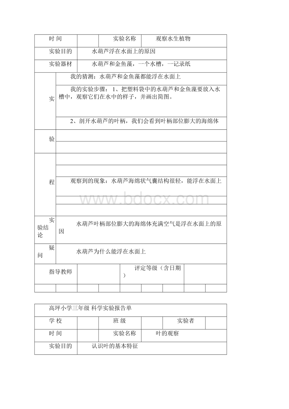 教科版三年级上册科学实验报告材料单11.docx_第3页