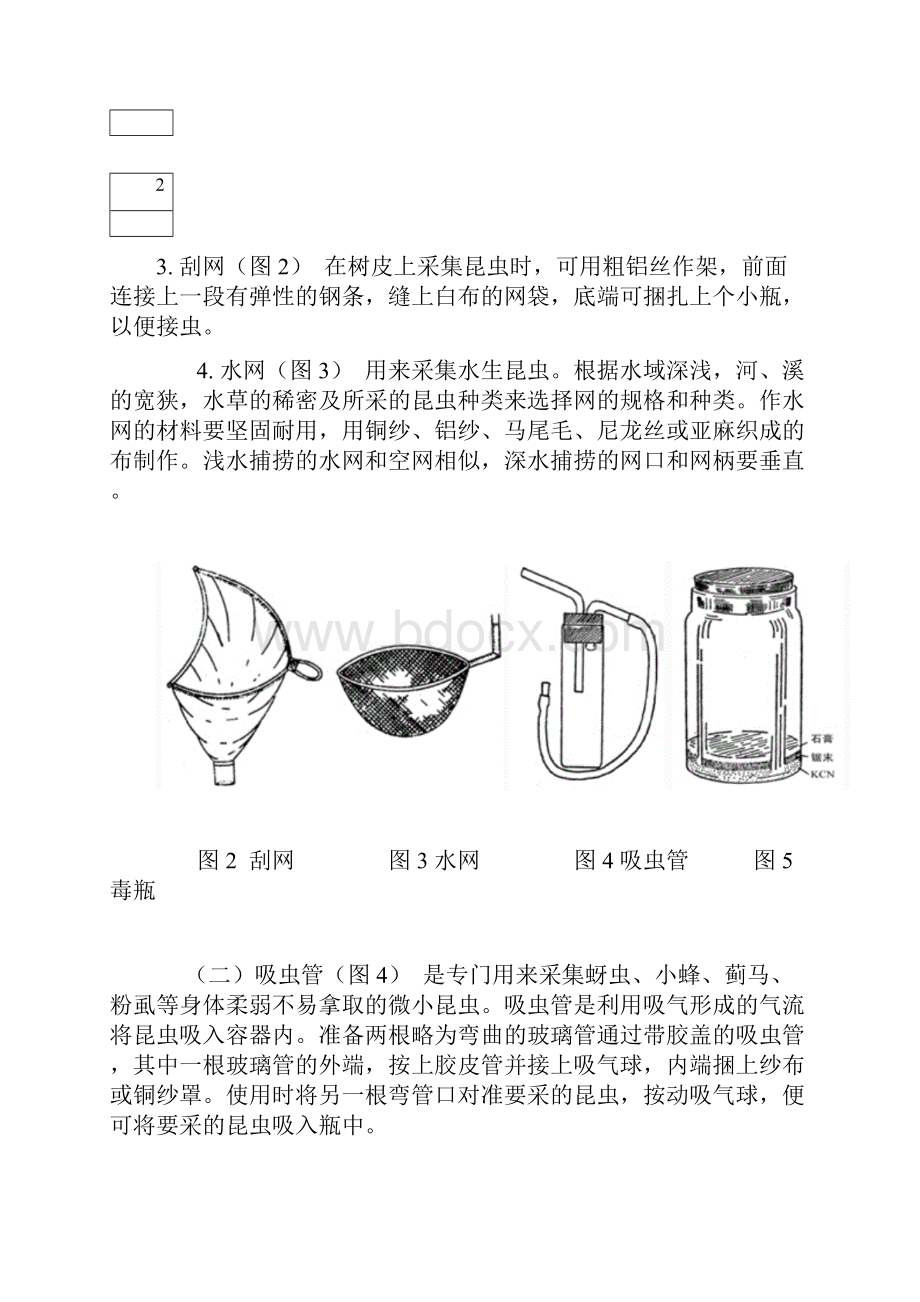 整理昆虫标本的采集制作及保存方法.docx_第3页