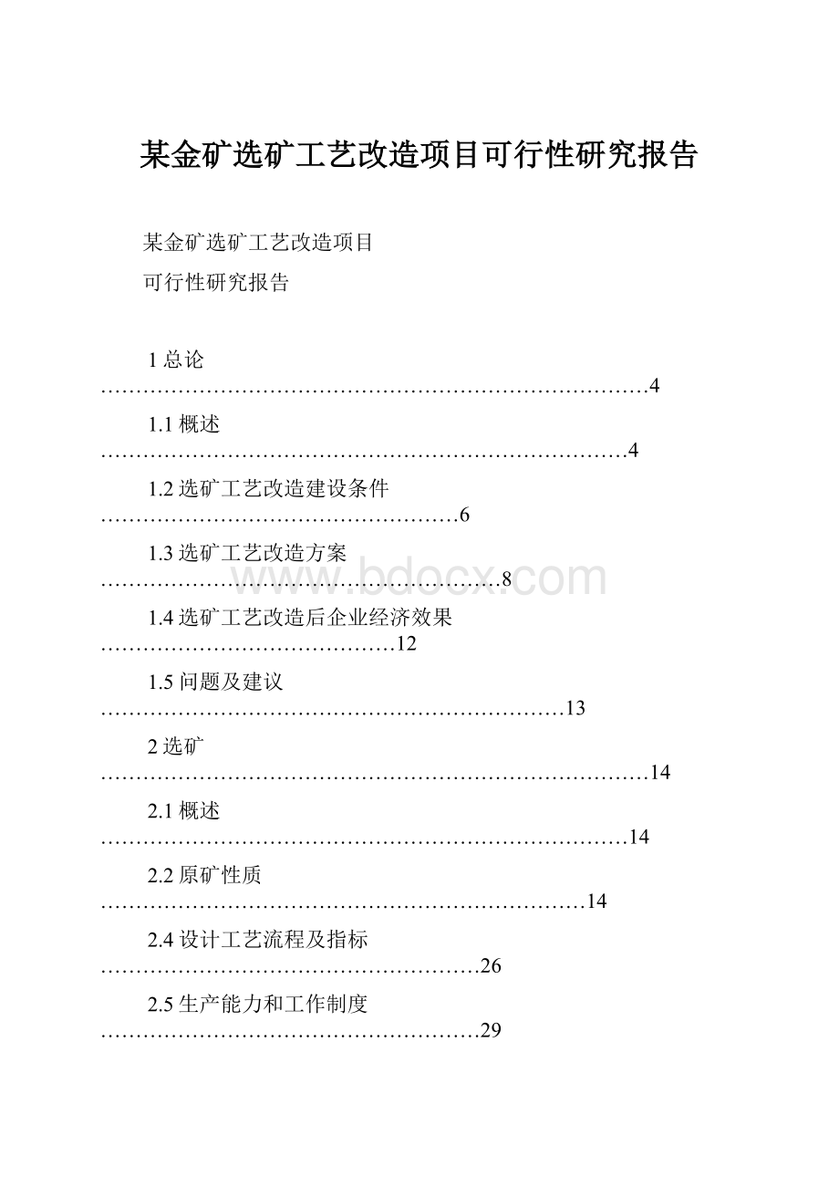 某金矿选矿工艺改造项目可行性研究报告.docx