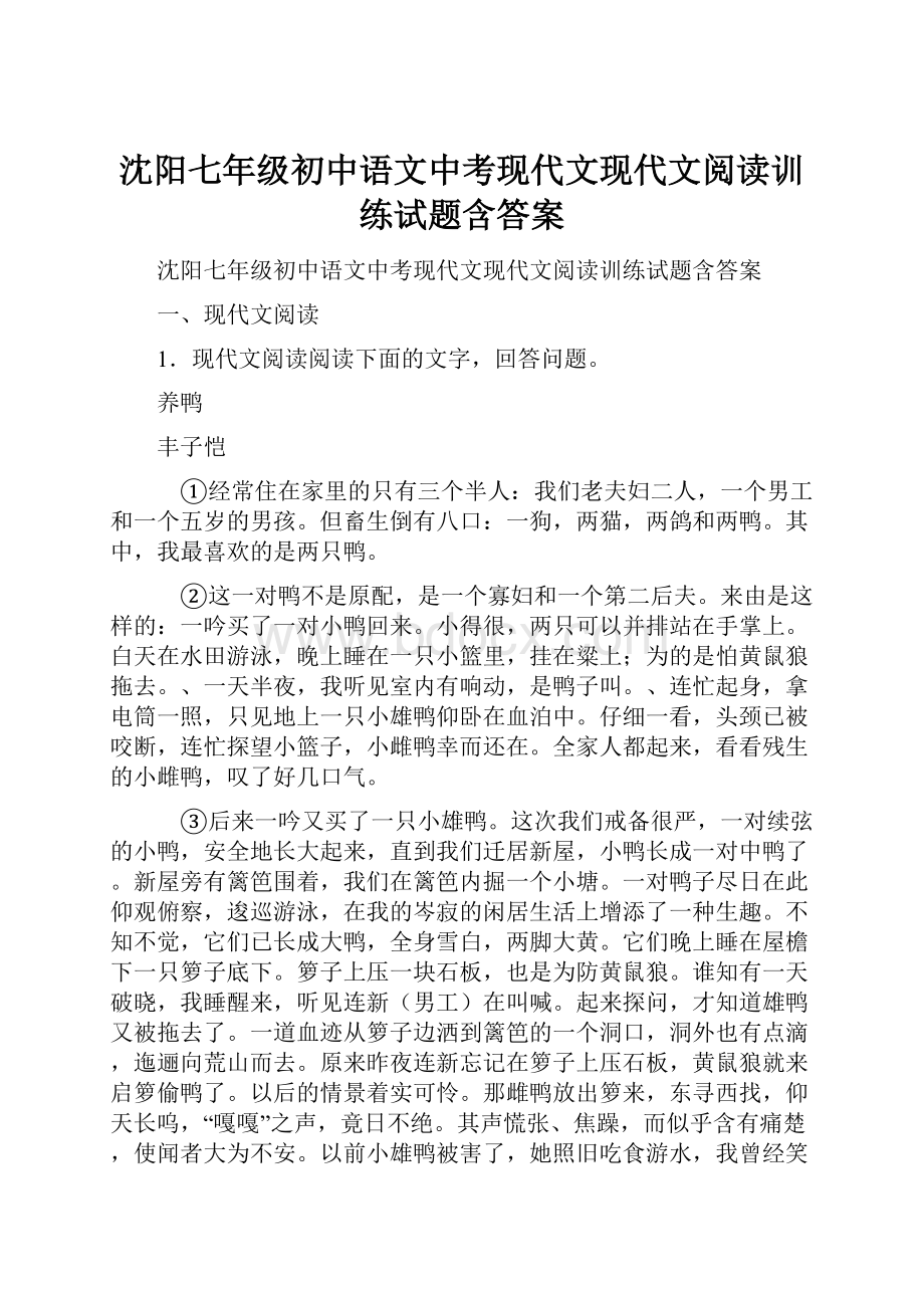 沈阳七年级初中语文中考现代文现代文阅读训练试题含答案.docx