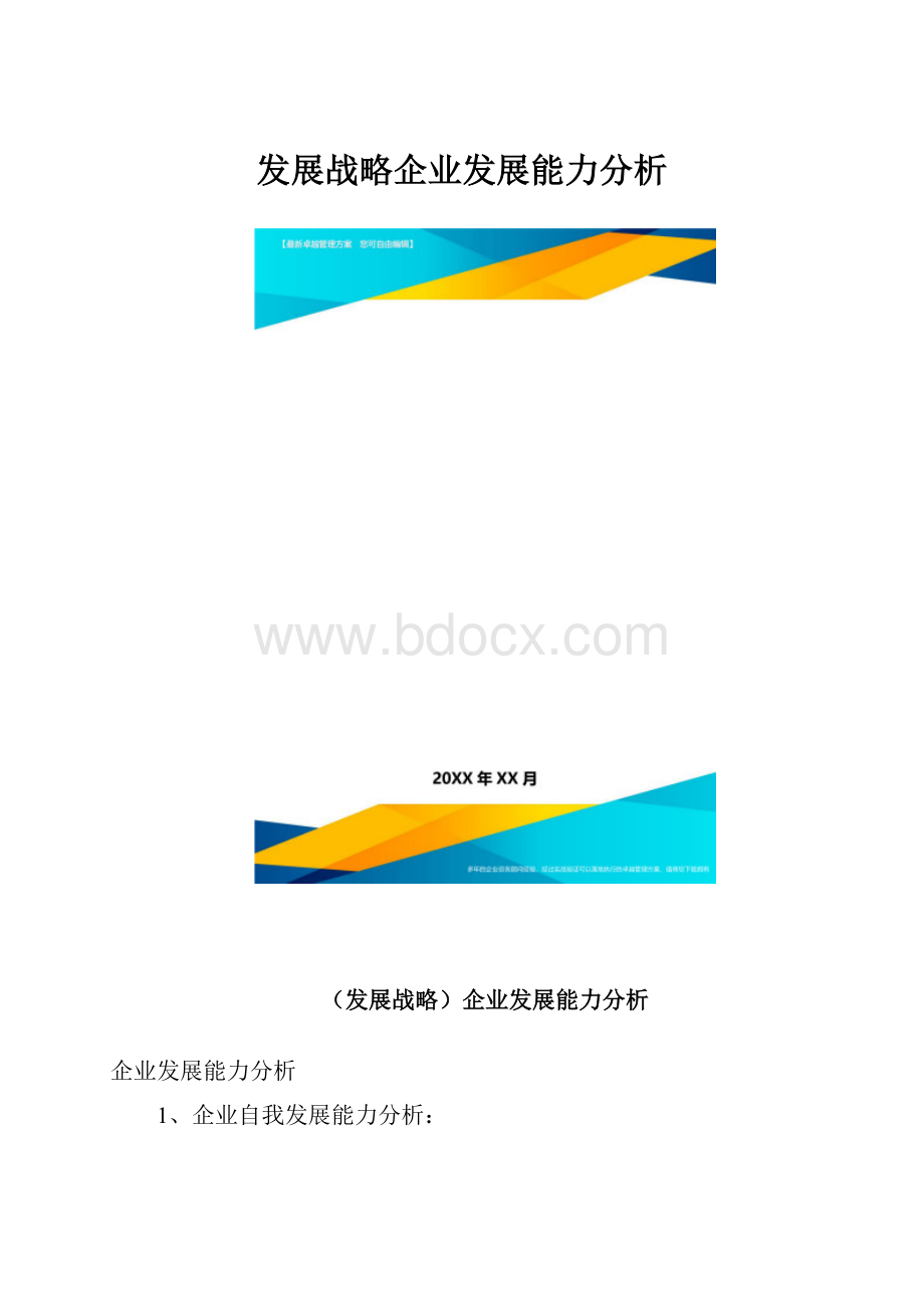 发展战略企业发展能力分析.docx