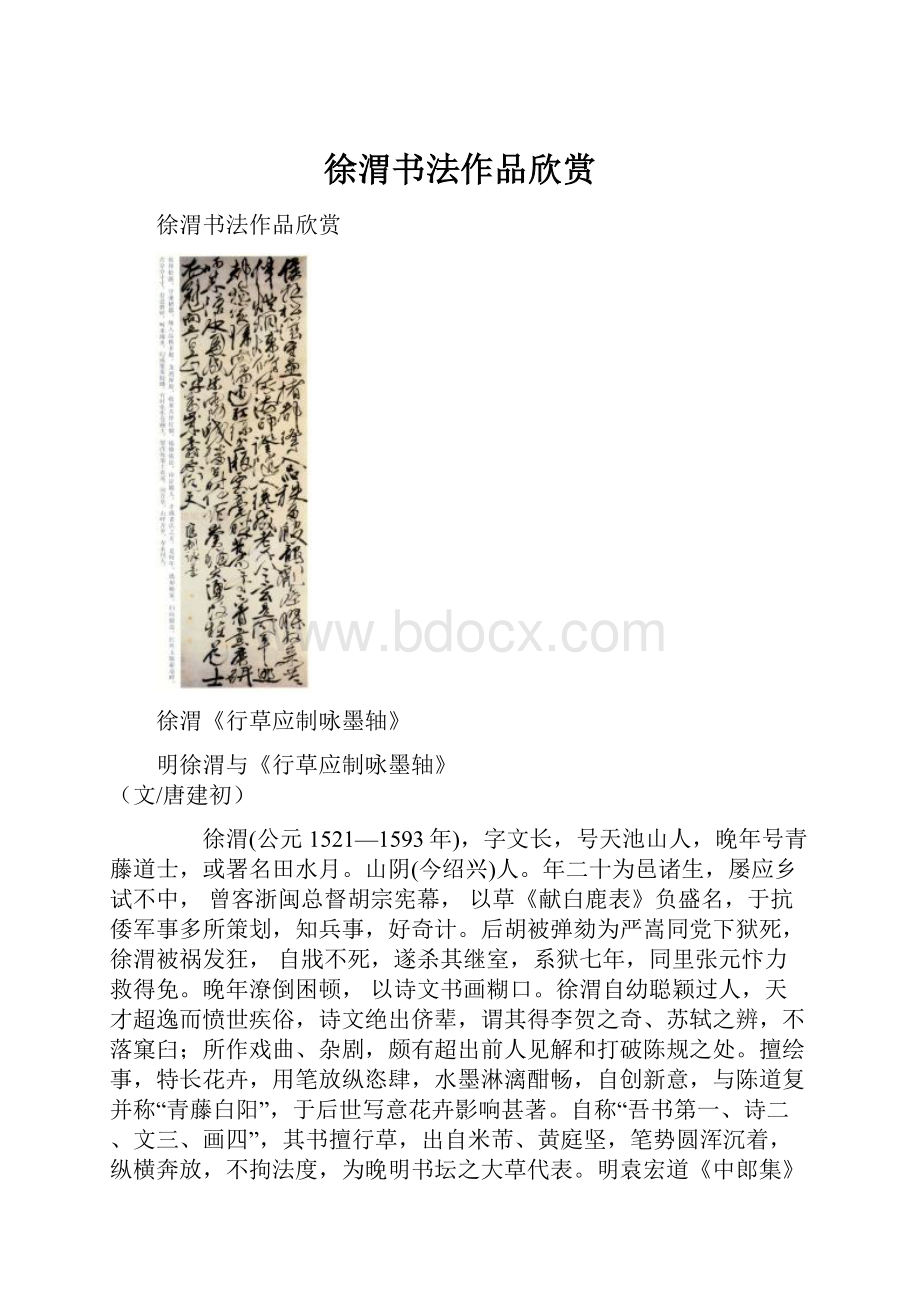 徐渭书法作品欣赏.docx