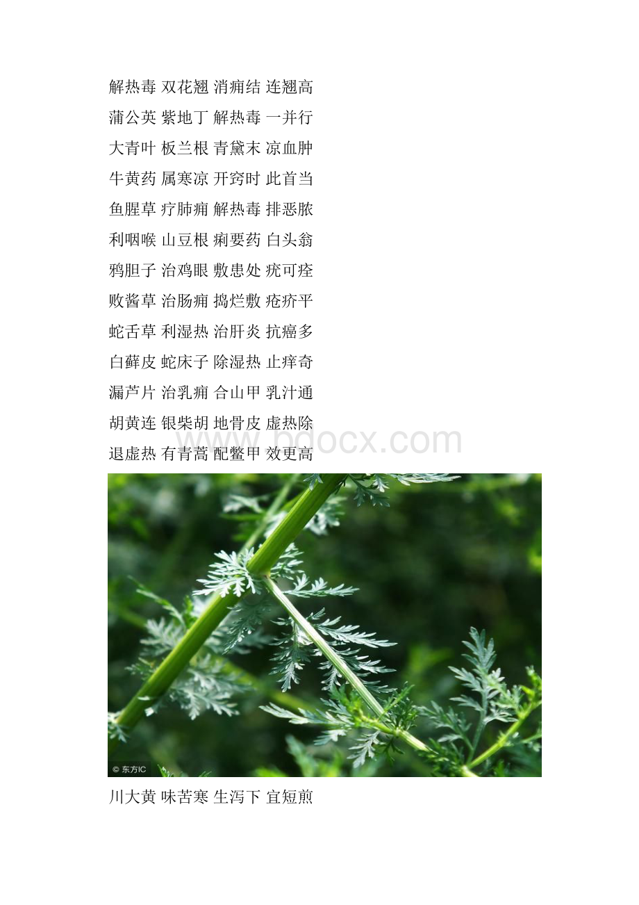 最实用的中药三百味《三字经》说功效易读易记.docx_第3页